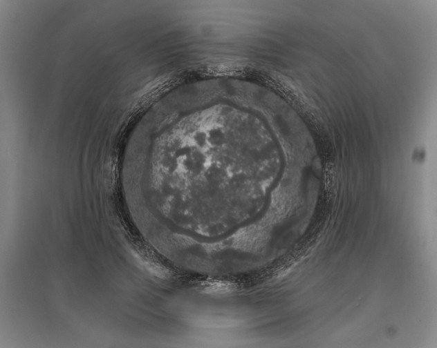 X0000095510741200712141423