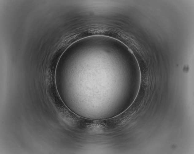 X0000095510743200712141423