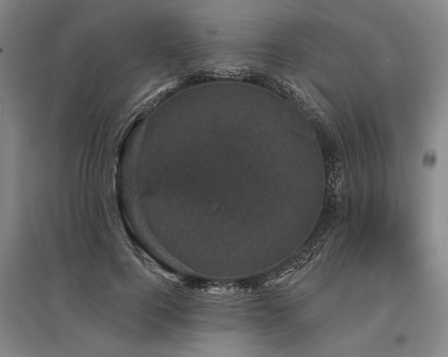 X0000095510744200712141423