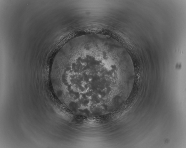 X0000095510745200712141423