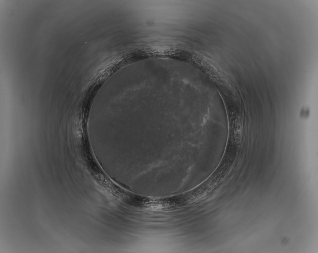 X0000095510746200712141423