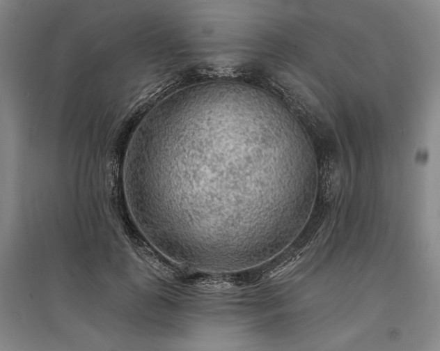 X0000095510747200712141423