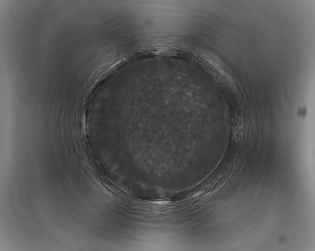 X0000095510748200712141423