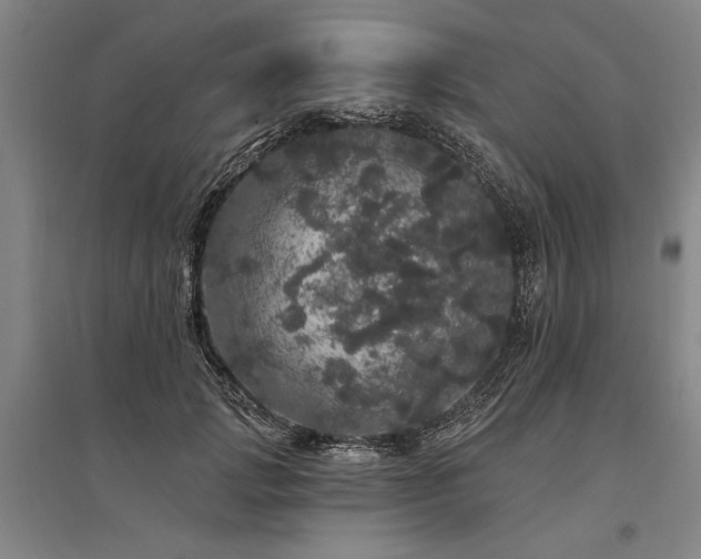 X0000095510749200712141423