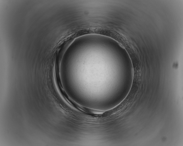 X0000095510750200712141423