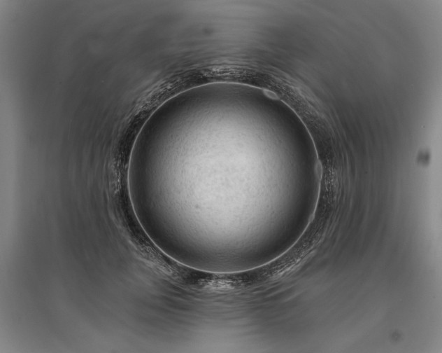 X0000095510751200712141423