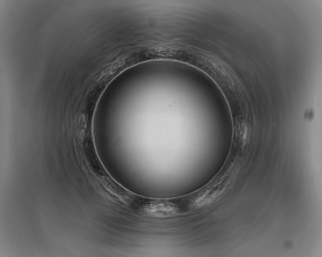 X0000095510752200712141423
