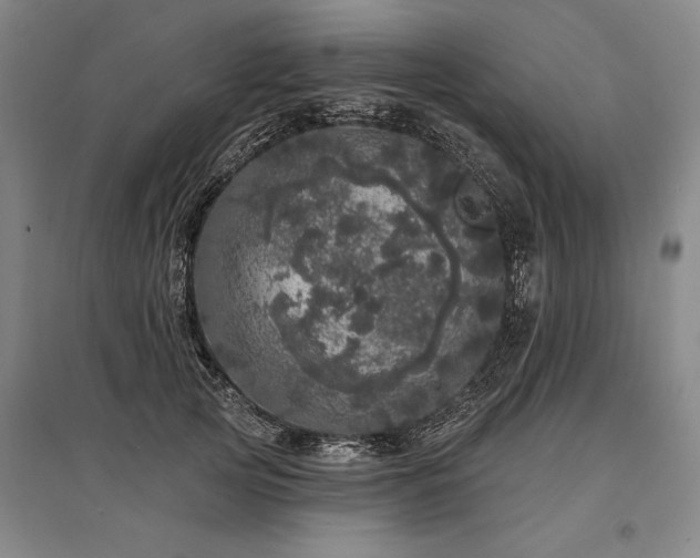 X0000095510753200712141423