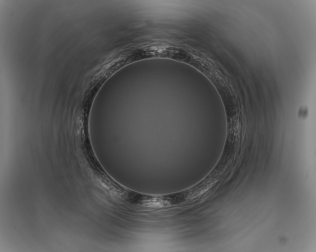 X0000095510754200712141423
