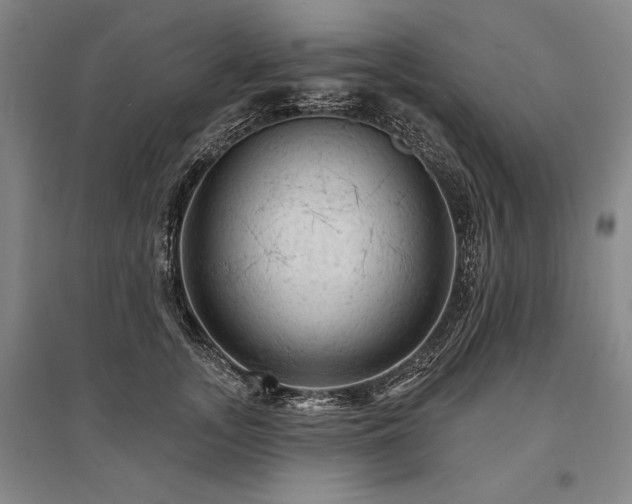 X0000095510755200712141423