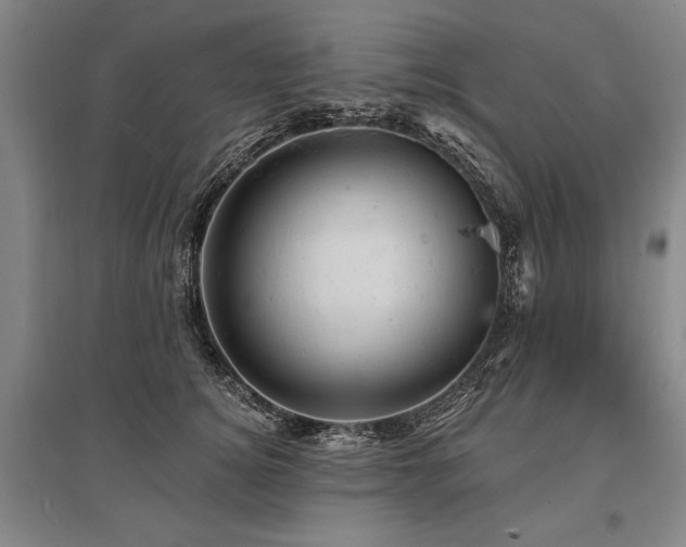 X0000095510756200712141423