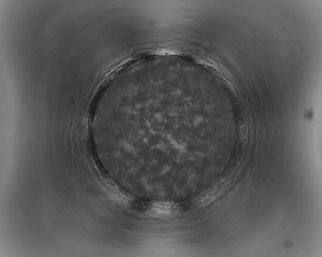 X0000095510757200712141423