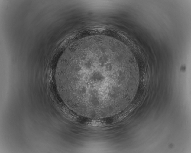 X0000095510758200712141423
