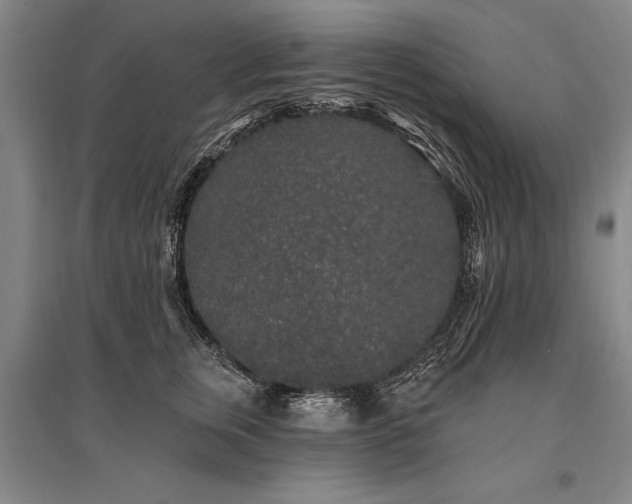 X0000095510759200712141423