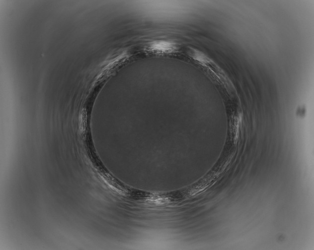 X0000095510760200712141423