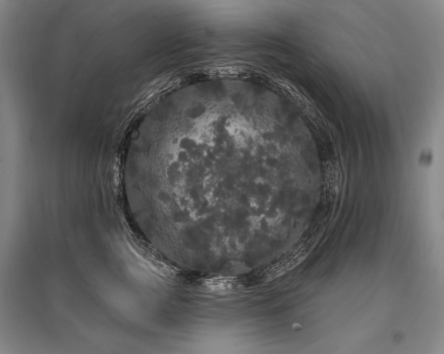 X0000095510761200712141423