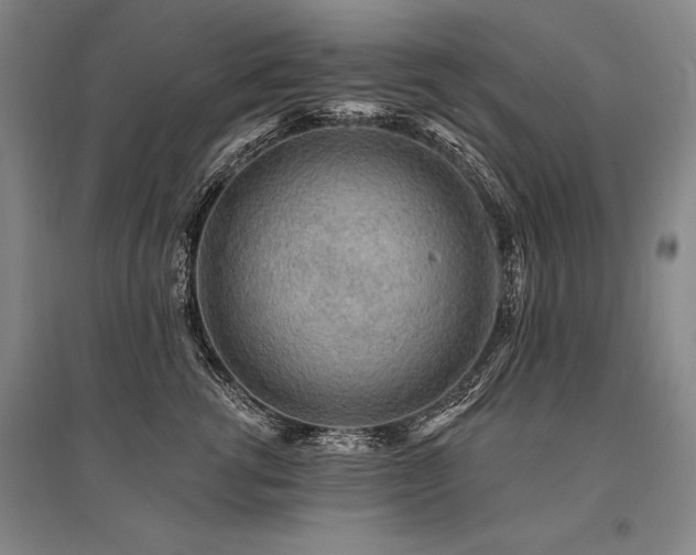 X0000095510762200712141423