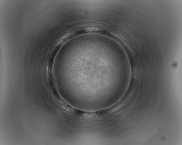 X0000095510763200712141423
