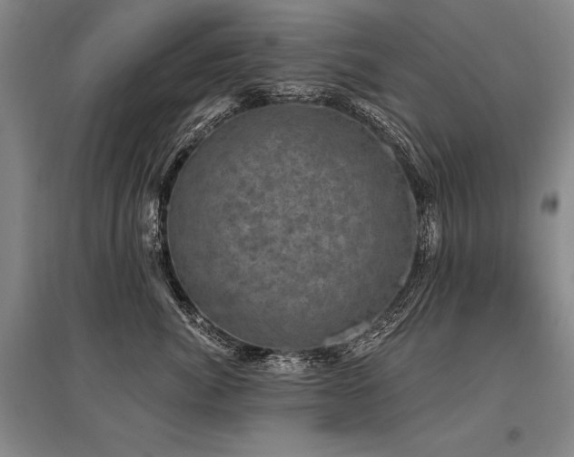 X0000095510764200712141423