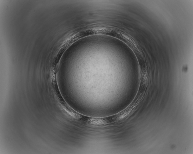 X0000095510766200712141423