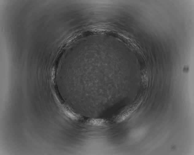X0000095510767200712141423