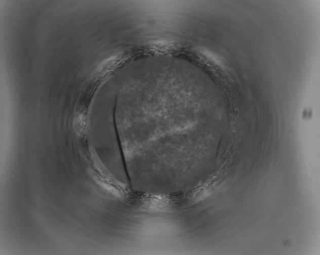X0000095510768200712141423