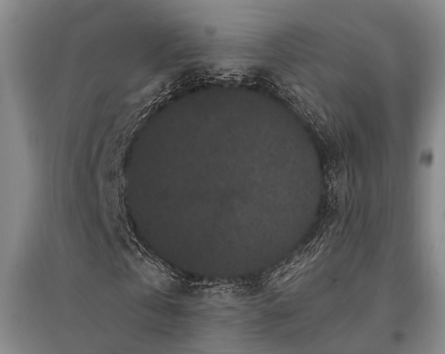 X0000095510769200712141423