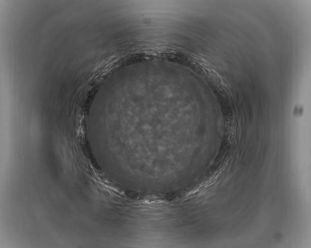 X0000095510770200712141423