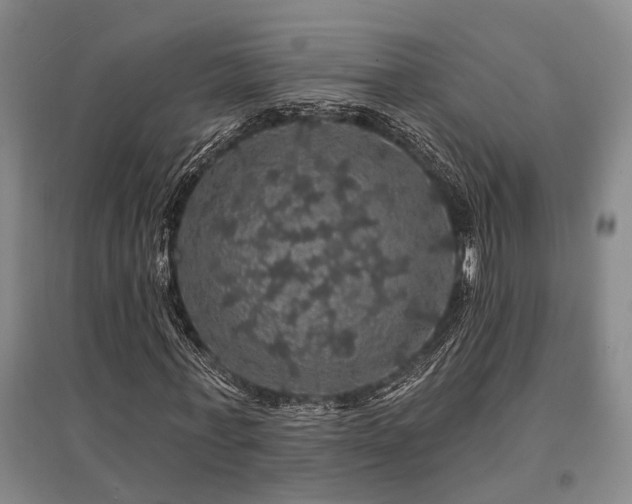 X0000095510771200712141423