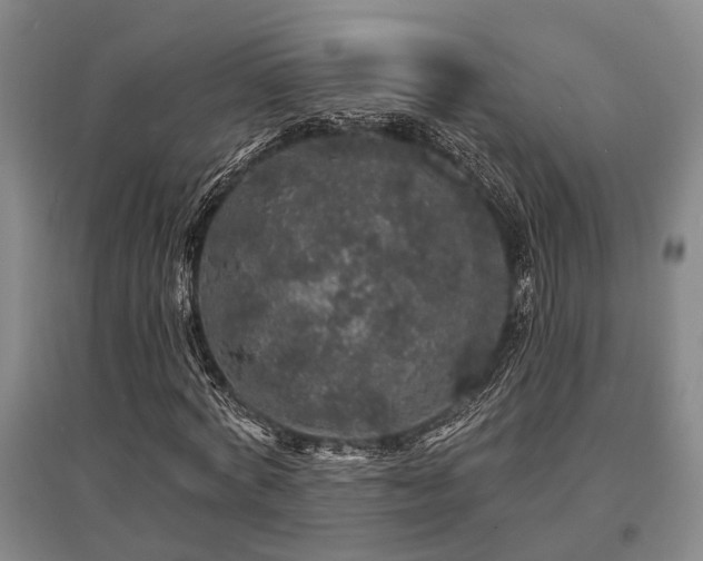 X0000095510772200712141423