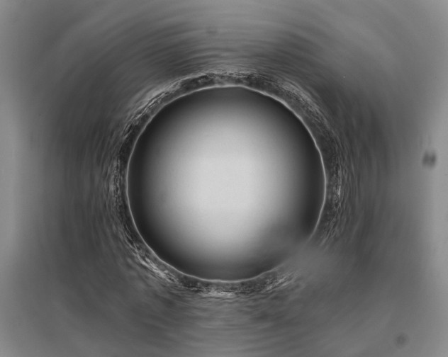 X0000095510773200712141423