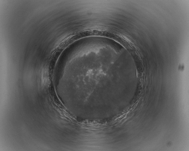 X0000095510774200712141423