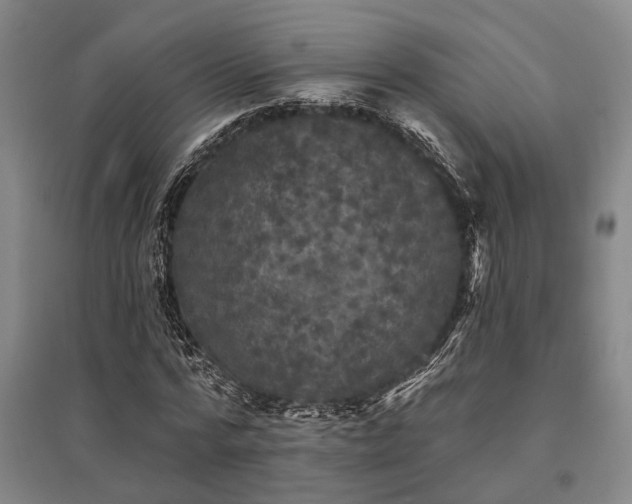 X0000095510776200712141423