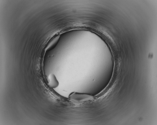 X0000095510777200712141423