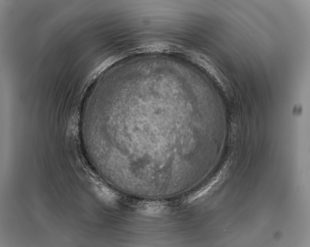 X0000095510778200712141423