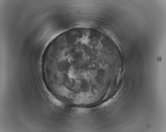 X0000095510779200712141423