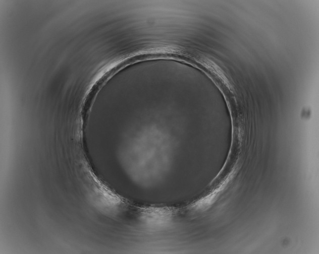 X0000095510781200712141423