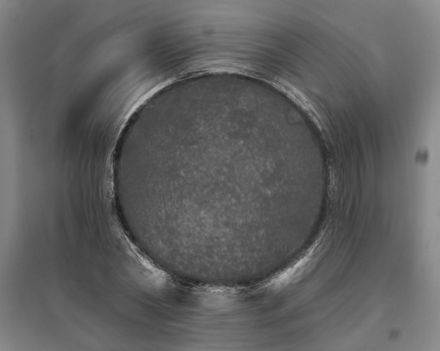 X0000095510782200712141423