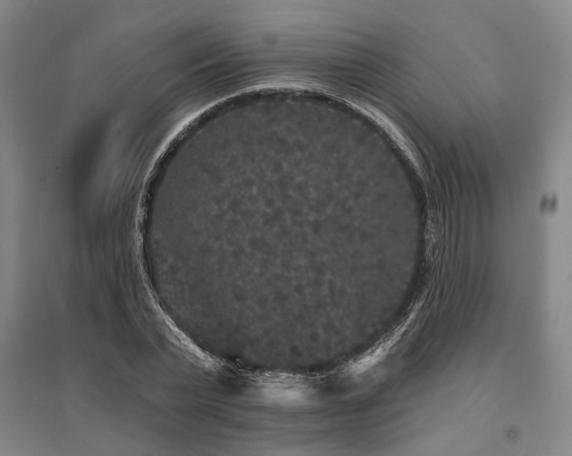 X0000095510783200712141423