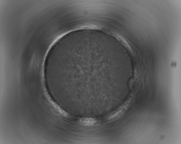 X0000095510784200712141423
