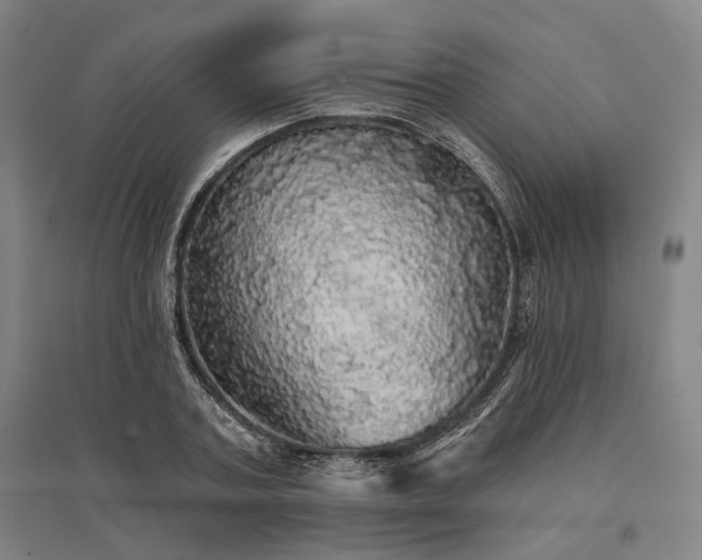 X0000095510787200712141422