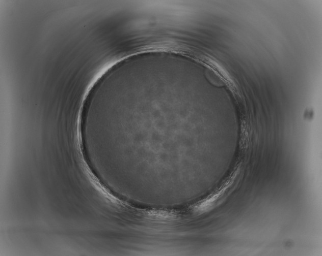 X0000095510788200712141422