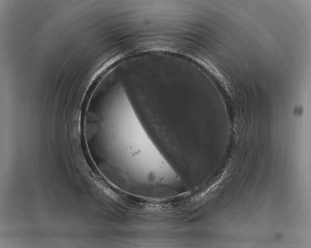 X0000095510790200712141422