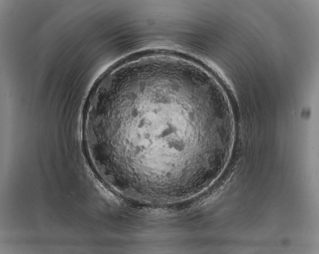 X0000095510791200712141422
