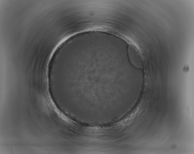 X0000095510792200712141422