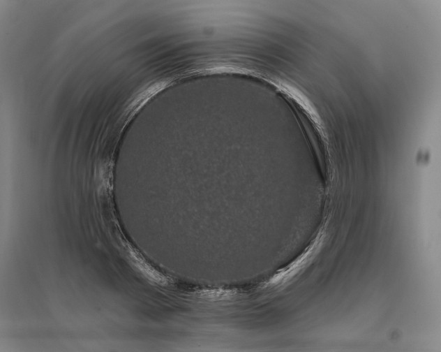 X0000095510793200712141422