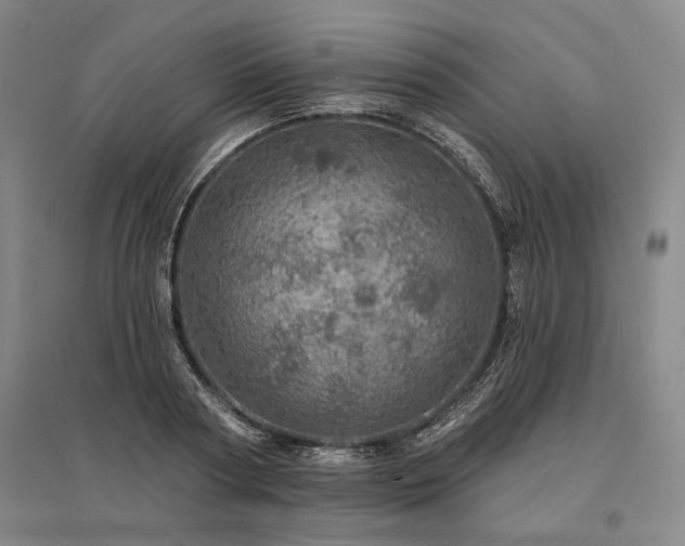 X0000095510794200712141422