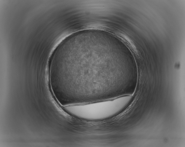 X0000095510796200712141422
