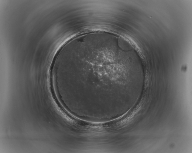 X0000095510798200712141422