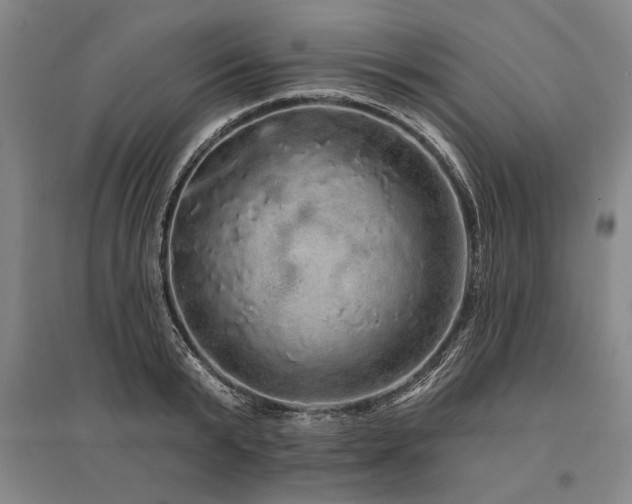 X0000095510799200712141422